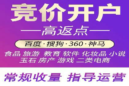 揭秘百度竞价代理：实战案例分析